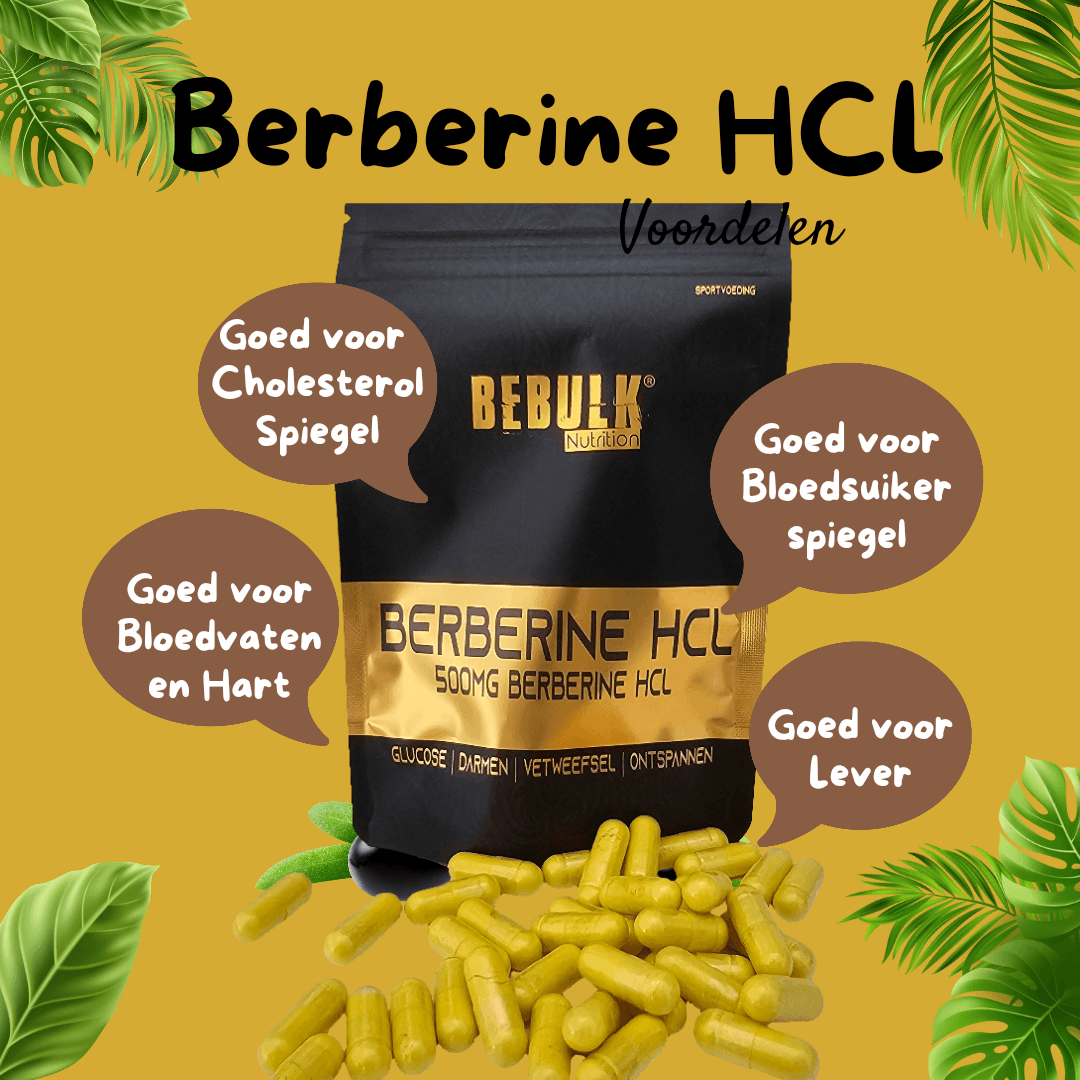 Berberine HCL 98%  500mg - Vegan - BeBulk Nutrition